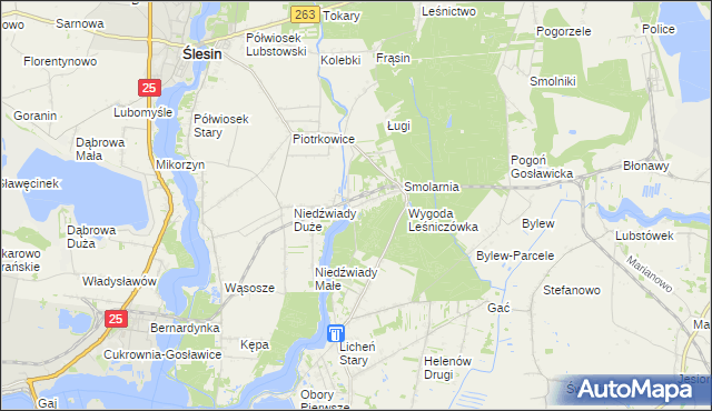 mapa Wygoda gmina Ślesin, Wygoda gmina Ślesin na mapie Targeo