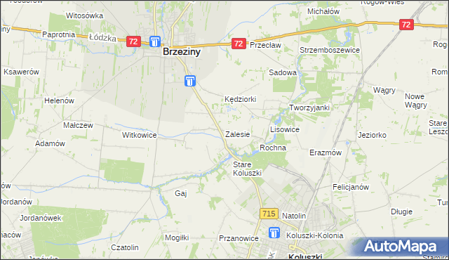 mapa Zalesie gmina Brzeziny, Zalesie gmina Brzeziny na mapie Targeo