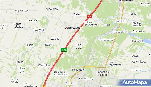 mapa Biała Góra gmina Dobryszyce, Biała Góra gmina Dobryszyce na mapie Targeo