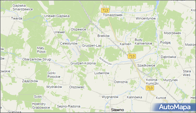 mapa Antoninów gmina Sławno, Antoninów gmina Sławno na mapie Targeo