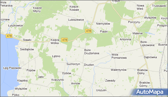 mapa Borki Drużbińskie, Borki Drużbińskie na mapie Targeo