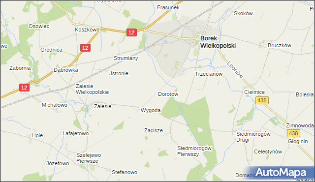 mapa Dorotów gmina Borek Wielkopolski, Dorotów gmina Borek Wielkopolski na mapie Targeo