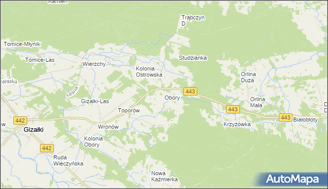 mapa Obory gmina Gizałki, Obory gmina Gizałki na mapie Targeo