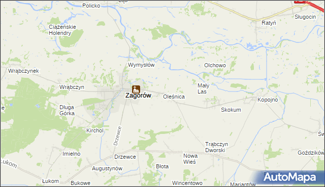 mapa Oleśnica gmina Zagórów, Oleśnica gmina Zagórów na mapie Targeo