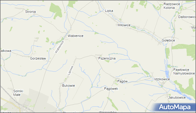 mapa Pszeniczna, Pszeniczna na mapie Targeo