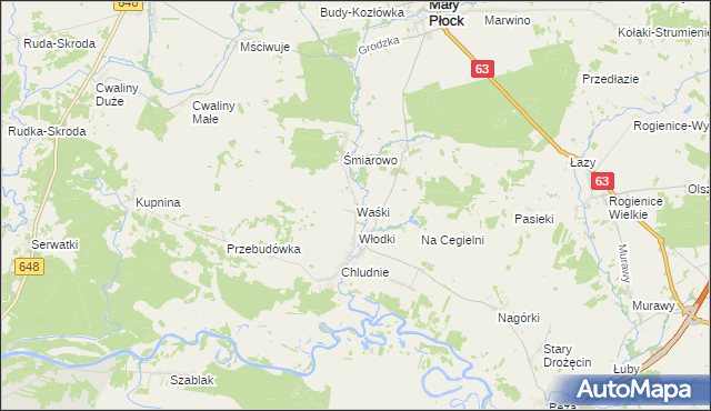 mapa Waśki gmina Mały Płock, Waśki gmina Mały Płock na mapie Targeo