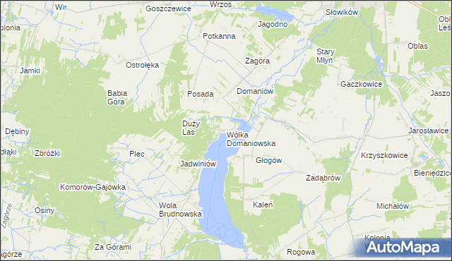 mapa Wólka Domaniowska, Wólka Domaniowska na mapie Targeo