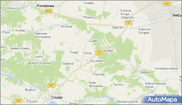 mapa Malinowszczyzna gmina Bełżyce, Malinowszczyzna gmina Bełżyce na mapie Targeo