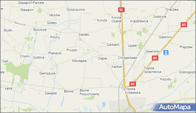 mapa Dąbie gmina Łęczyca, Dąbie gmina Łęczyca na mapie Targeo