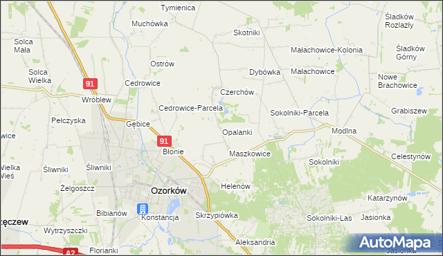 mapa Opalanki gmina Ozorków, Opalanki gmina Ozorków na mapie Targeo
