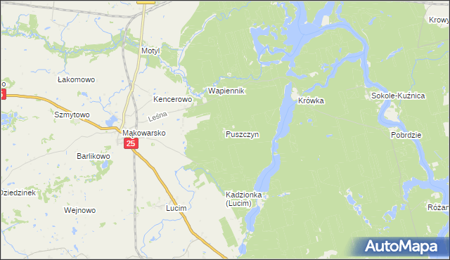 mapa Puszczyn gmina Koronowo, Puszczyn gmina Koronowo na mapie Targeo