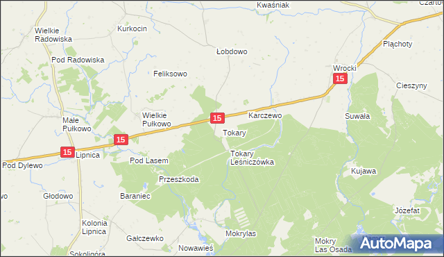 mapa Tokary gmina Golub-Dobrzyń, Tokary gmina Golub-Dobrzyń na mapie Targeo