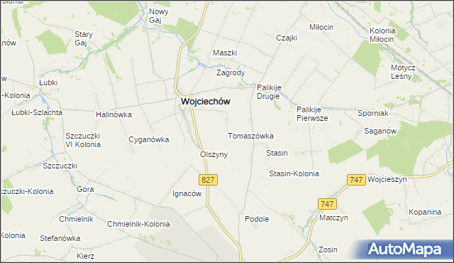 mapa Tomaszówka gmina Wojciechów, Tomaszówka gmina Wojciechów na mapie Targeo