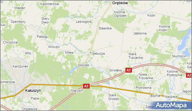 mapa Kolonia Sinołęka, Kolonia Sinołęka na mapie Targeo