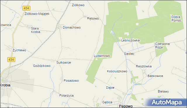 mapa Ludwinowo gmina Pępowo, Ludwinowo gmina Pępowo na mapie Targeo