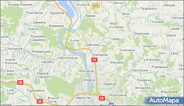 mapa Wielogłowy gmina Chełmiec, Wielogłowy gmina Chełmiec na mapie Targeo