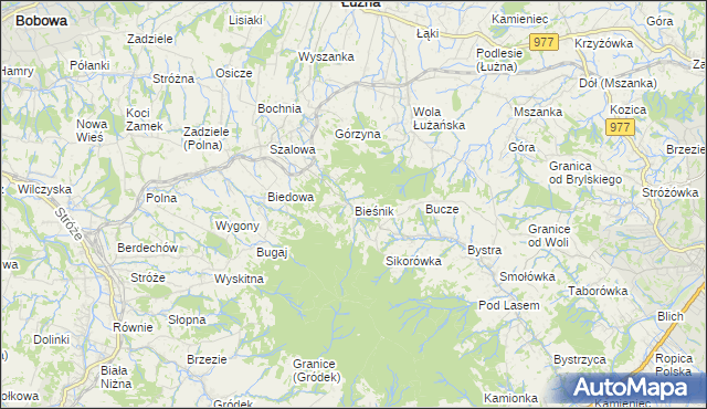 mapa Bieśnik gmina Łużna, Bieśnik gmina Łużna na mapie Targeo