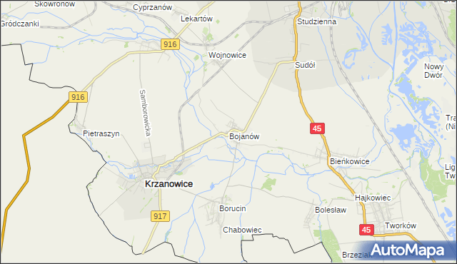 mapa Bojanów gmina Krzanowice, Bojanów gmina Krzanowice na mapie Targeo