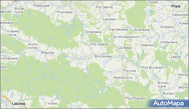 mapa Binczarowa, Binczarowa na mapie Targeo