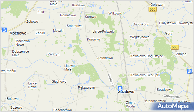 mapa Antoniewo gmina Gozdowo, Antoniewo gmina Gozdowo na mapie Targeo