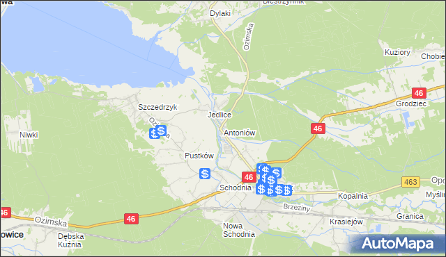 mapa Antoniów gmina Ozimek, Antoniów gmina Ozimek na mapie Targeo