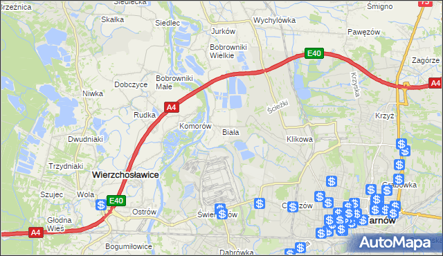 mapa Biała gmina Tarnów, Biała gmina Tarnów na mapie Targeo