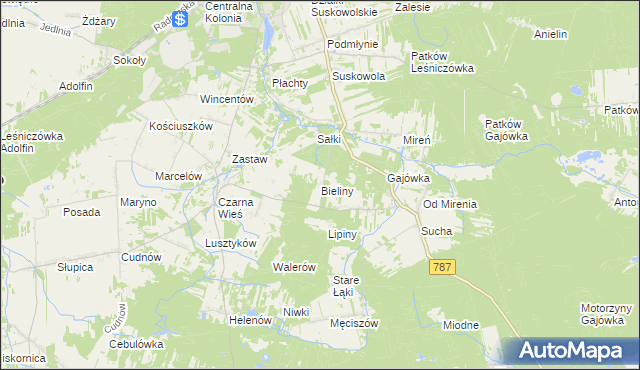mapa Bieliny gmina Pionki, Bieliny gmina Pionki na mapie Targeo
