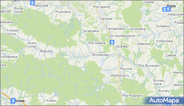 mapa Binczarowa, Binczarowa na mapie Targeo