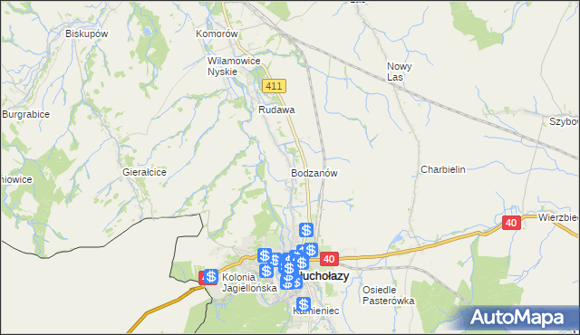 mapa Bodzanów gmina Głuchołazy, Bodzanów gmina Głuchołazy na mapie Targeo