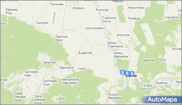 mapa Borcuchy gmina Bałtów, Borcuchy gmina Bałtów na mapie Targeo