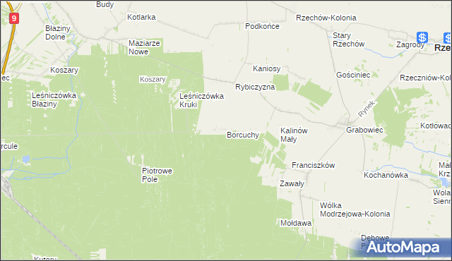 mapa Borcuchy gmina Rzeczniów, Borcuchy gmina Rzeczniów na mapie Targeo