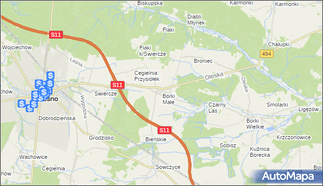 mapa Borki Małe gmina Olesno, Borki Małe gmina Olesno na mapie Targeo