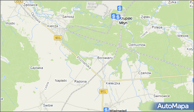 mapa Borowiany, Borowiany na mapie Targeo