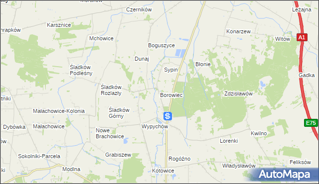 mapa Borowiec gmina Piątek, Borowiec gmina Piątek na mapie Targeo