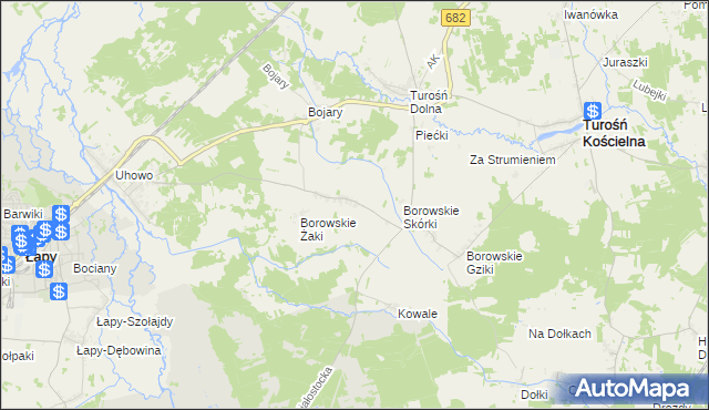 mapa Borowskie Wypychy, Borowskie Wypychy na mapie Targeo