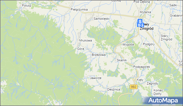 mapa Brzezowa gmina Nowy Żmigród, Brzezowa gmina Nowy Żmigród na mapie Targeo