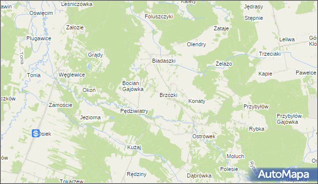 mapa Brzózki gmina Galewice, Brzózki gmina Galewice na mapie Targeo