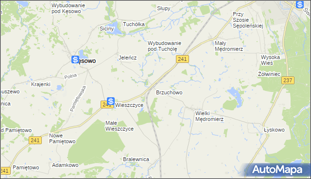 mapa Brzuchowo, Brzuchowo na mapie Targeo
