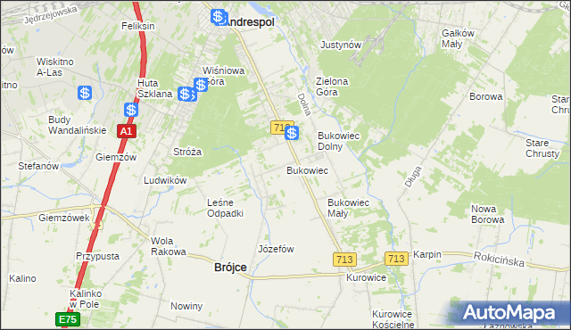 mapa Bukowiec gmina Brójce, Bukowiec gmina Brójce na mapie Targeo