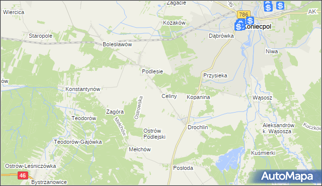 mapa Celiny gmina Lelów, Celiny gmina Lelów na mapie Targeo