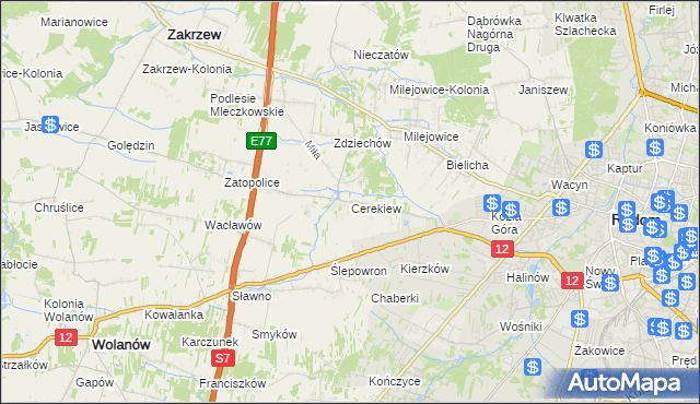 mapa Cerekiew gmina Zakrzew, Cerekiew gmina Zakrzew na mapie Targeo