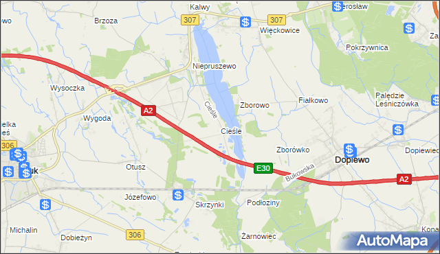 mapa Cieśle gmina Buk, Cieśle gmina Buk na mapie Targeo