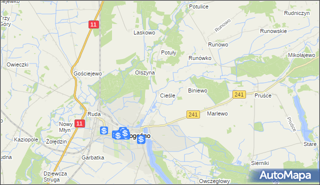 mapa Cieśle gmina Rogoźno, Cieśle gmina Rogoźno na mapie Targeo