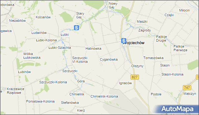 mapa Cyganówka gmina Wojciechów, Cyganówka gmina Wojciechów na mapie Targeo