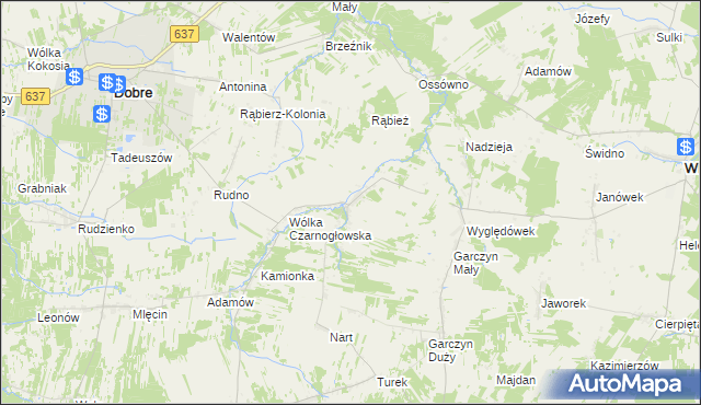mapa Czarnogłów, Czarnogłów na mapie Targeo