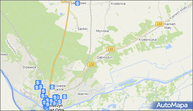 mapa Dąbroszyn gmina Witnica, Dąbroszyn gmina Witnica na mapie Targeo