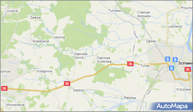 mapa Dąbrowa Środkowa, Dąbrowa Środkowa na mapie Targeo