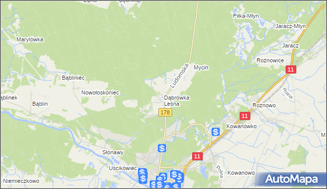mapa Dąbrówka Leśna, Dąbrówka Leśna na mapie Targeo