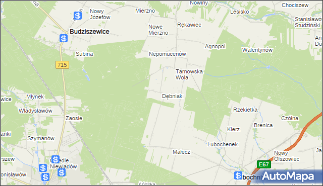 mapa Dębniak gmina Lubochnia, Dębniak gmina Lubochnia na mapie Targeo