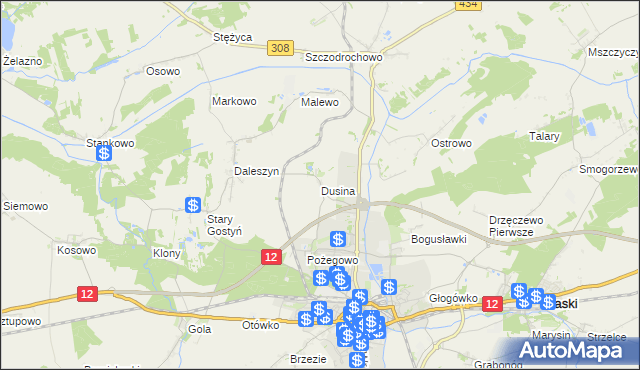mapa Dusina gmina Gostyń, Dusina gmina Gostyń na mapie Targeo